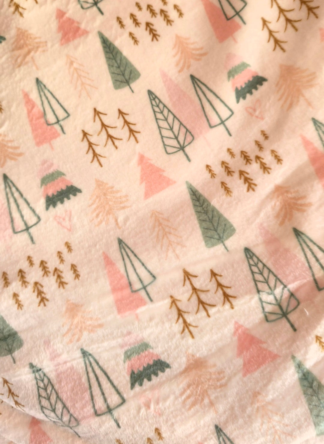 Sage Christmas Squish (£16pm)