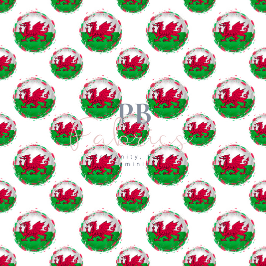 Wales Flag Pre Order Exclusive