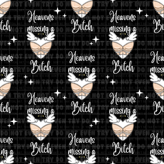 Heavens missing a Bitch Pre Order