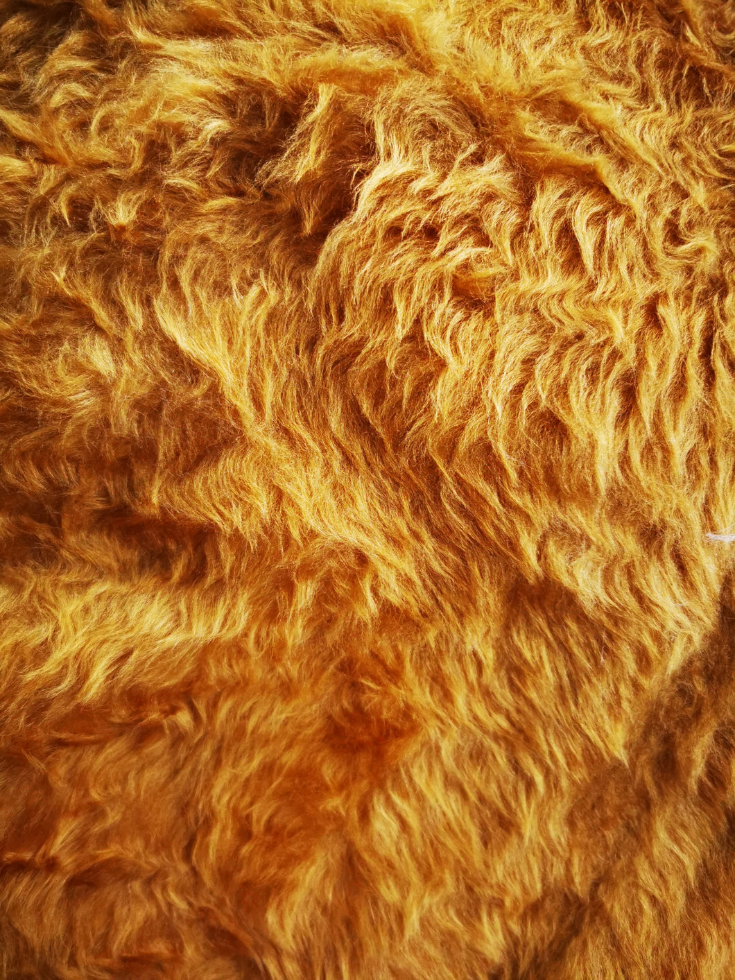 Backed Golden Faux Fur